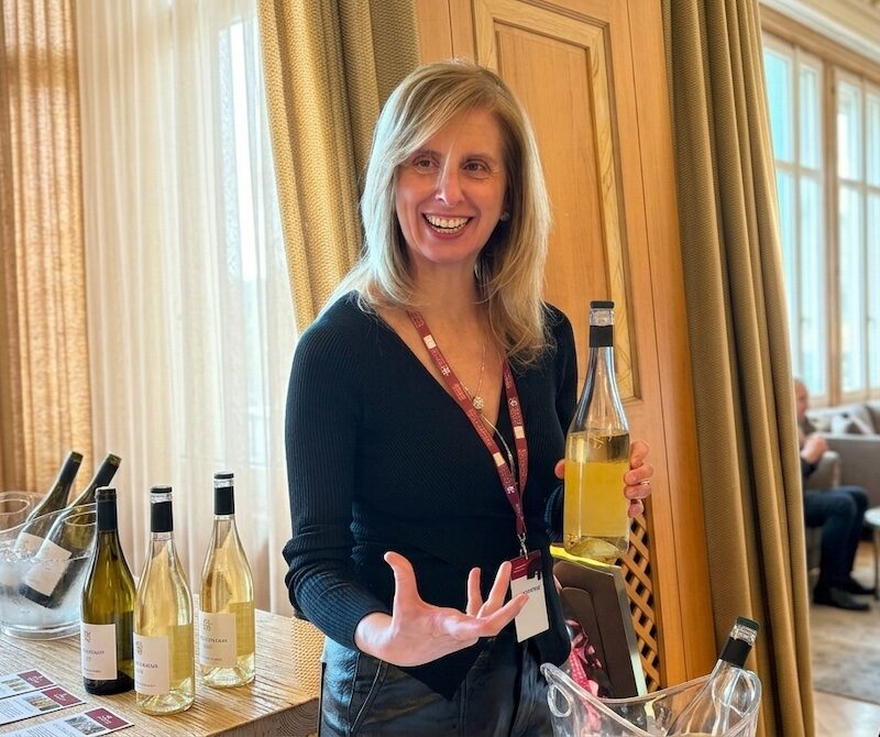 L'Alto Piemonte a Milano