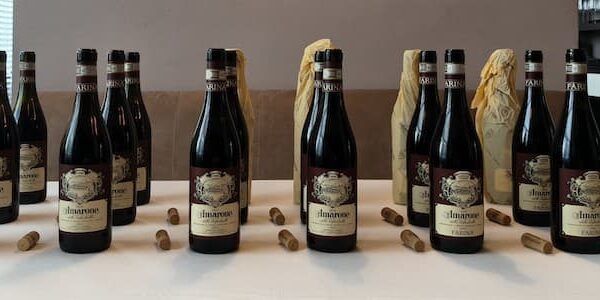 Famiglia Farina Amarone della Valpolicella Classico si presenta in verticale