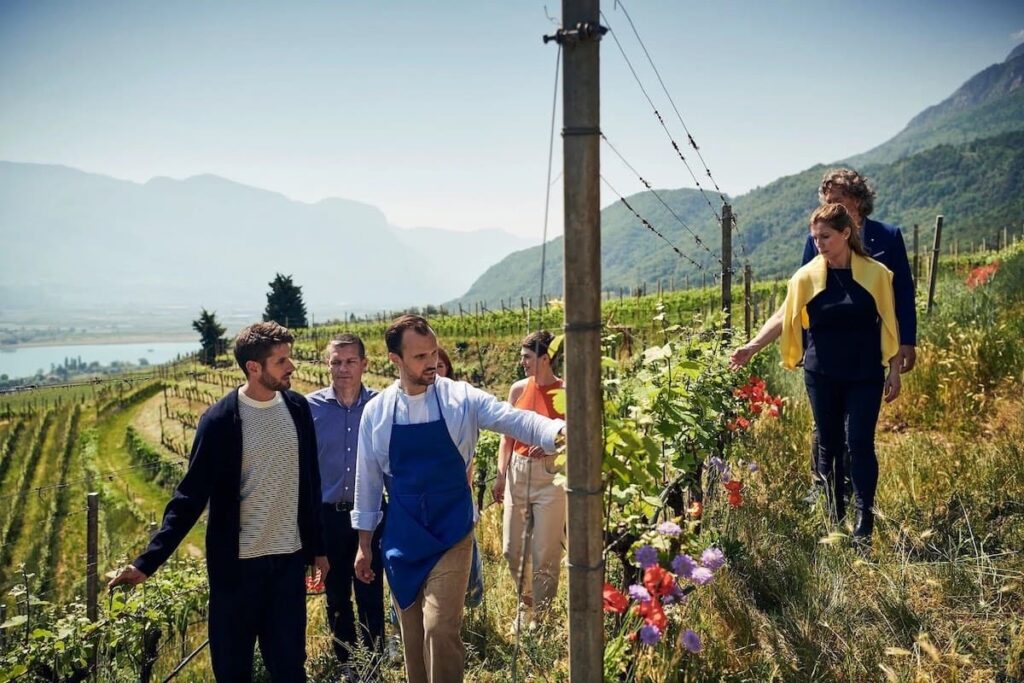 Alto Adige, tra vigne e sapori: un’esperienza da vivere