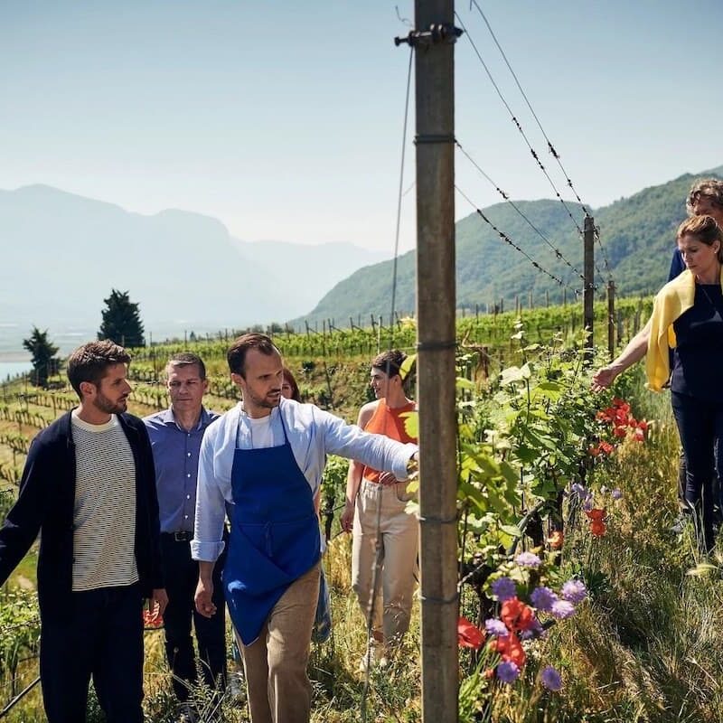 Alto Adige, tra vigne e sapori: un’esperienza da vivere
