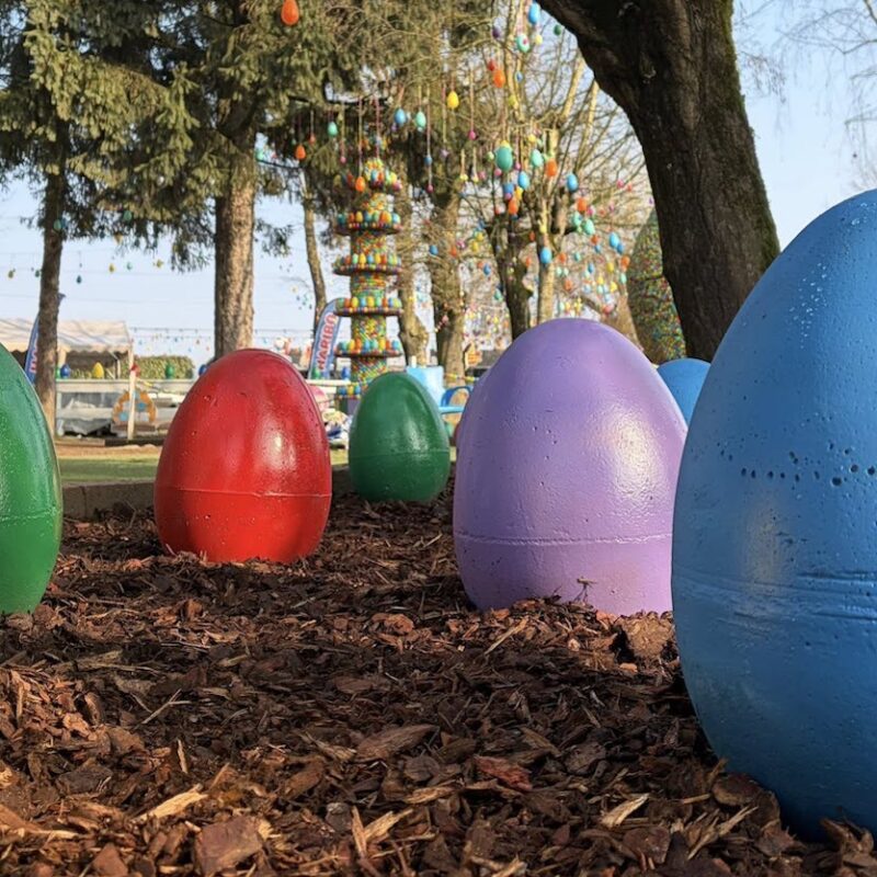 Caccia alle uova, cioccolato e laboratori: riapre il Villaggio delle Uova di Puravida Farm