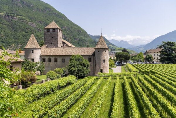VINALTUM 2026: oltre 60 cantine e masterclass a Bolzano
