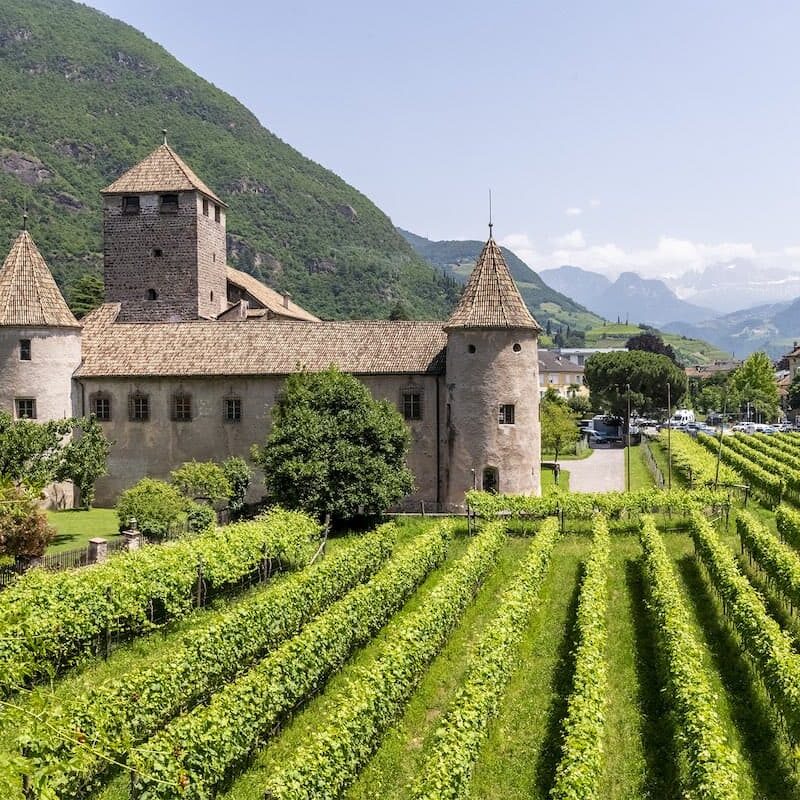 VINALTUM 2026: oltre 60 cantine e masterclass a Bolzano