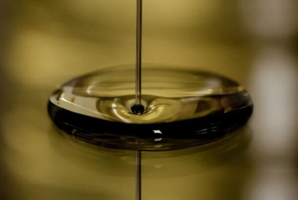 Festa dell'Olio 2026 a Torri del Benaco: