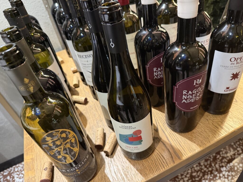 Terre di Pisa, il territorio nel bicchiere: la degustazione delle 12 etichette della masterclass