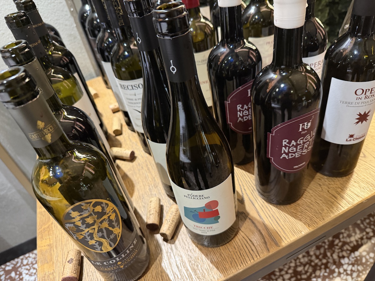 Terre di Pisa, il territorio nel bicchiere: la degustazione delle 12 etichette della masterclass