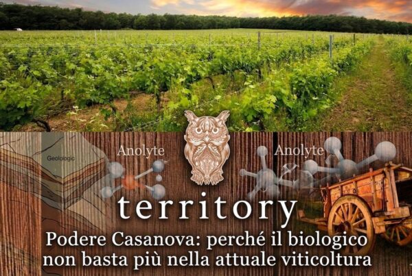 Podere Casanova: perché il biologico non basta più nella viticoltura attuale