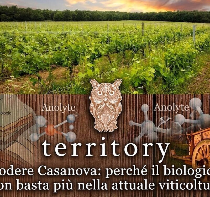 Podere Casanova: perché il biologico non basta più nella viticoltura attuale