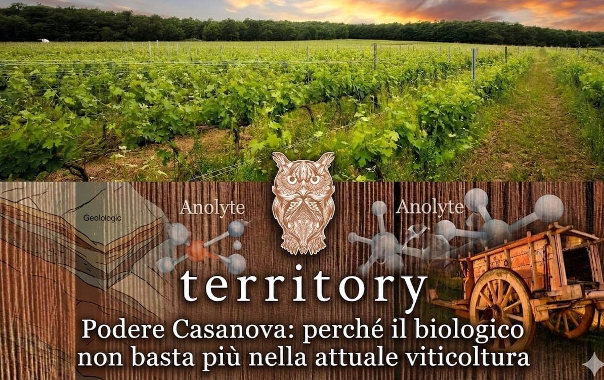 Podere Casanova: perché il biologico non basta più nella viticoltura attuale