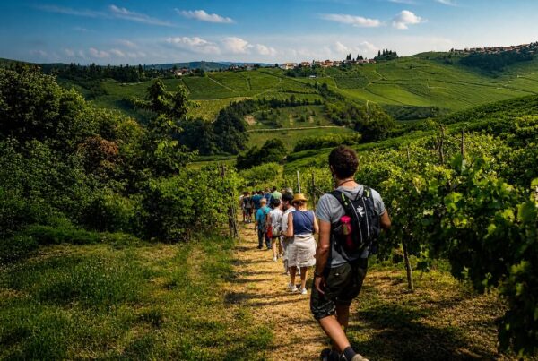 Scollinando 2026: la passeggiata tra le vigne per i 30 anni del Buttafuoco Storico