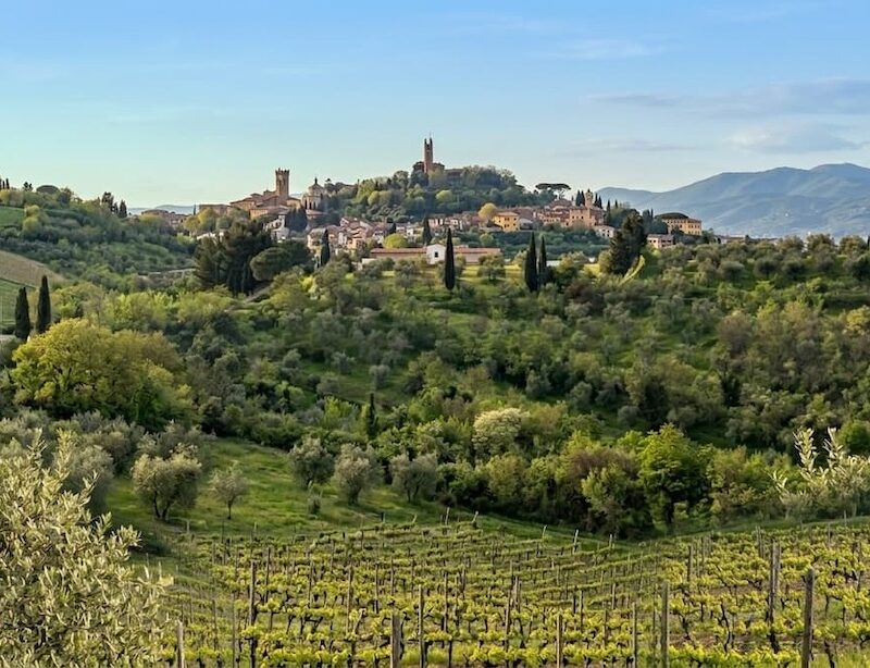 Terre di Pisa DOC, storia e territorio di una giovane denominazione toscana