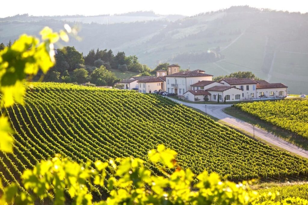 Condé cantina di Predappio che promuove la territorialità