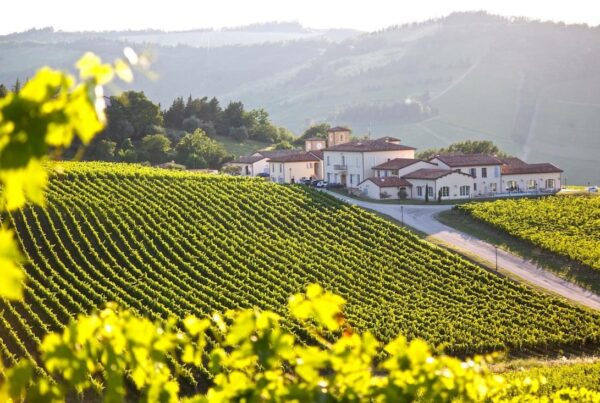 Condé cantina di Predappio che promuove la territorialità