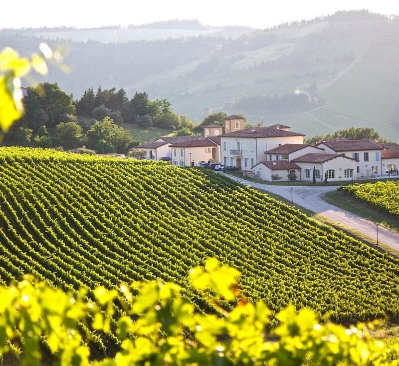 Condé cantina di Predappio che promuove la territorialità