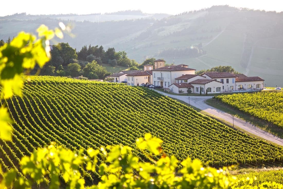 Condé cantina di Predappio che promuove la territorialità