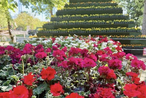 Primo Maggio tra natura e famiglie: a Pavia chiude Springmania con laboratori e caccia alle uova