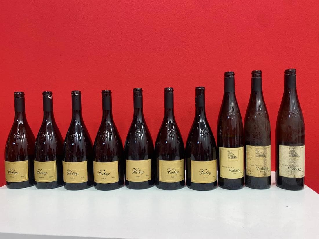 Pinot Bianco Vorberg di Cantina Terlano in degustazione