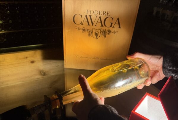 Cavàga, il progetto di Andrea Mazzucchelli tra viticoltura d'altura e accoglienza sul Lago d'Iseo