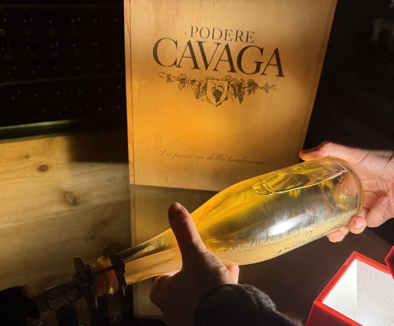 Cavàga, il progetto di Andrea Mazzucchelli tra viticoltura d'altura e accoglienza sul Lago d'Iseo