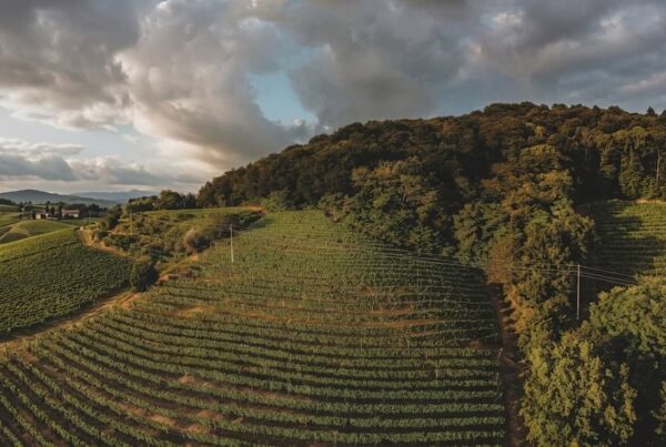L’appello del Collio alluvionato viaggia sulle ali del Giro d’Italia