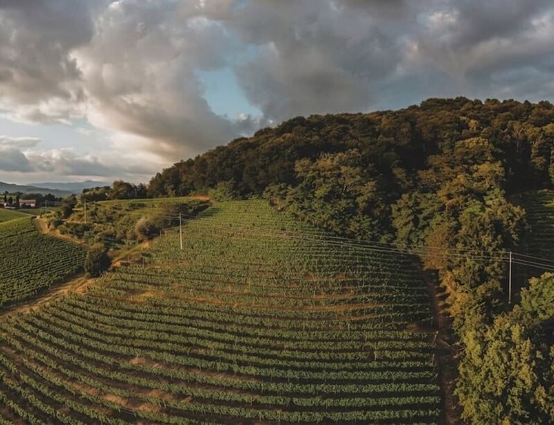L’appello del Collio alluvionato viaggia sulle ali del Giro d’Italia
