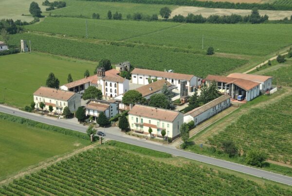 Cantine Romagnoli: vista aerea della cantina