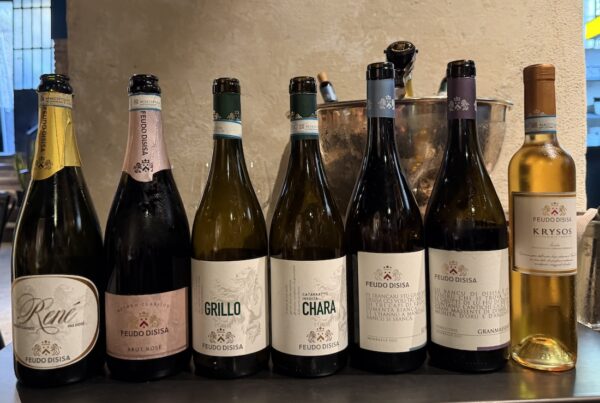 i vini degustati