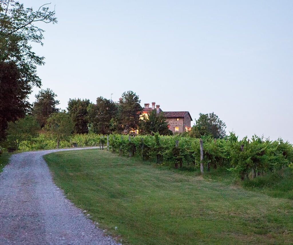 Zuani, il Collio che racconta la sua terra