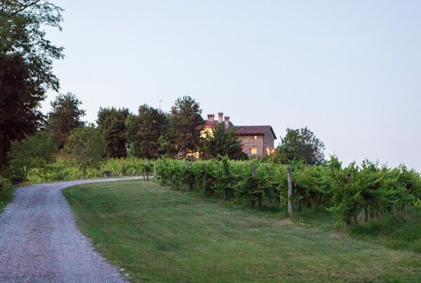 Zuani, il Collio che racconta la sua terra