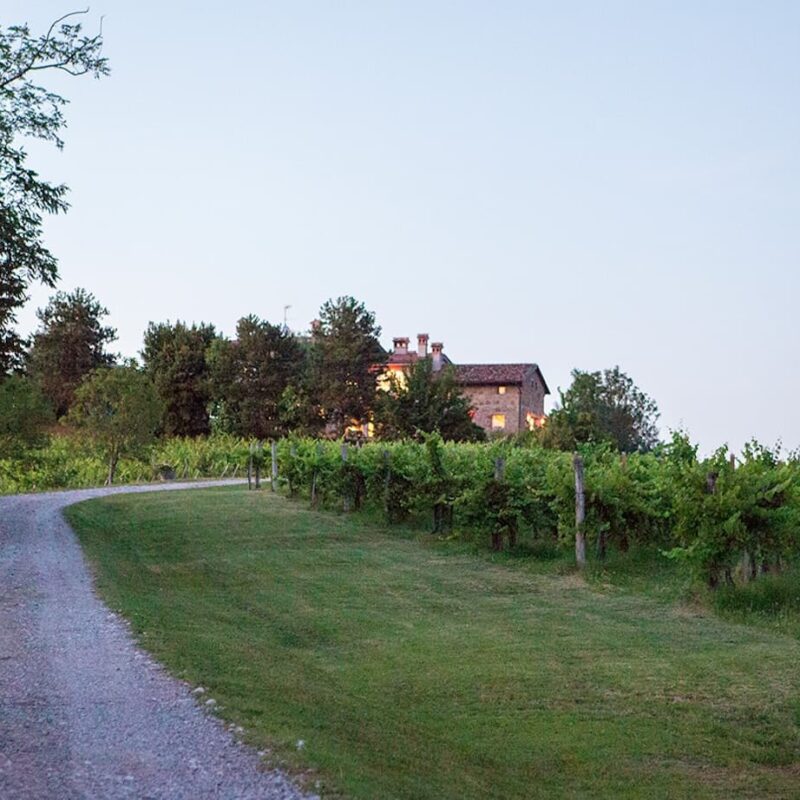 Zuani, il Collio che racconta la sua terra