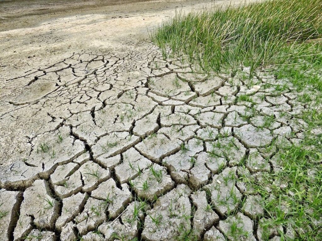 Il cambiamento climatico condiziona le nostre abitudini alimentari? Sì