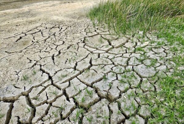 Il cambiamento climatico condiziona le nostre abitudini alimentari? Sì