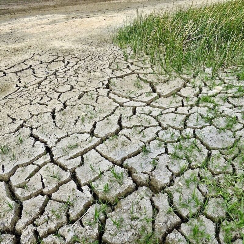 Il cambiamento climatico condiziona le nostre abitudini alimentari? Sì