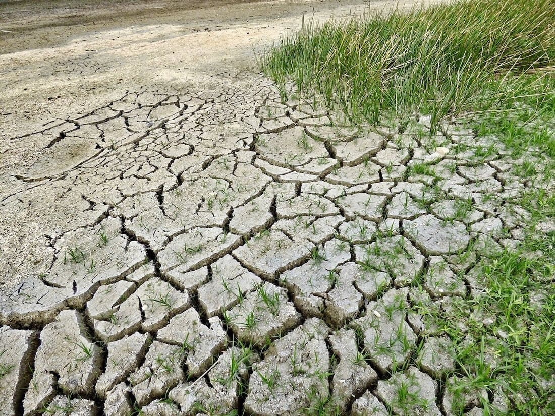 Il cambiamento climatico condiziona le nostre abitudini alimentari? Sì