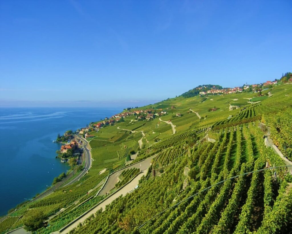 Vigneti terrazzati della viticoltura eroica