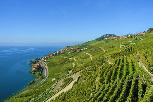 Vigneti terrazzati della viticoltura eroica