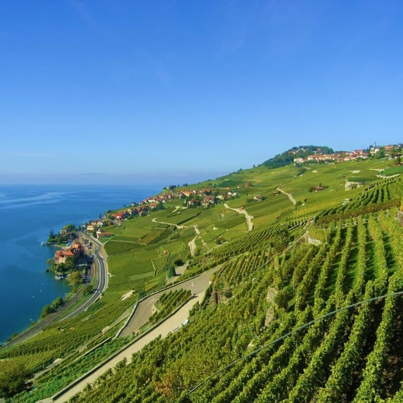 Vigneti terrazzati della viticoltura eroica