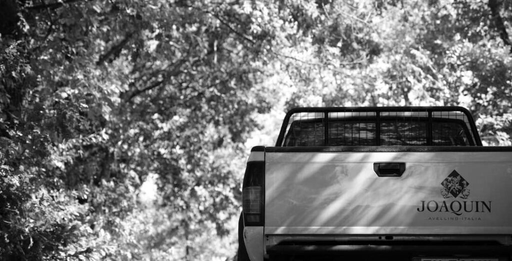 Pickup dell’azienda vinicola Joaquin in Irpinia
