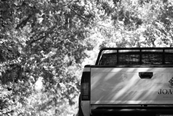 Pickup dell’azienda vinicola Joaquin in Irpinia
