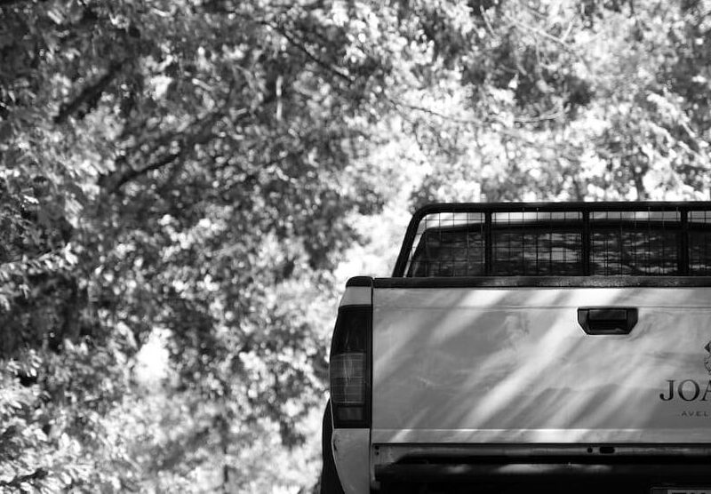 Pickup dell’azienda vinicola Joaquin in Irpinia