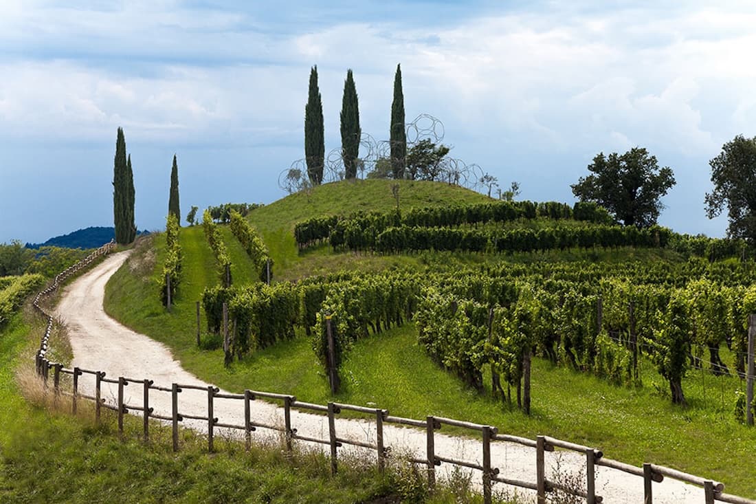 Vigne Museum nel paesaggio vitivinicolo di Rosazzo