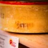 Forma di Bitto alla Mostra del Bitto di Morbegno