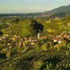 Colline di Valdobbiadene con vigneti e filari lungo i pendii