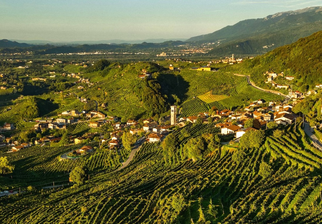 Colline di Valdobbiadene con vigneti e filari lungo i pendii